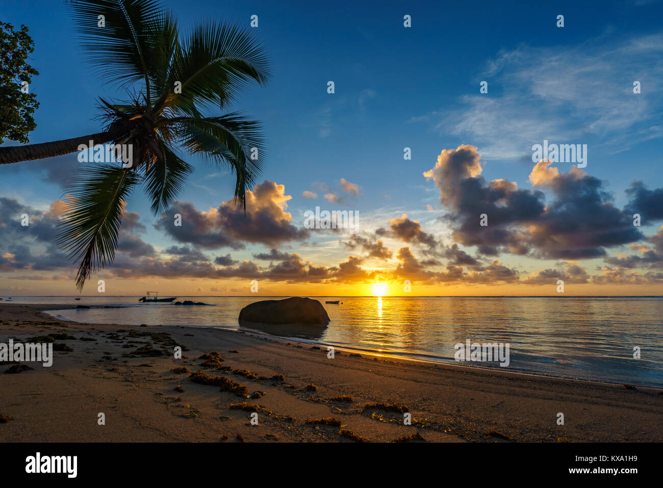 beautiful romantic sunrise on paradise beach with palms, granite rocks