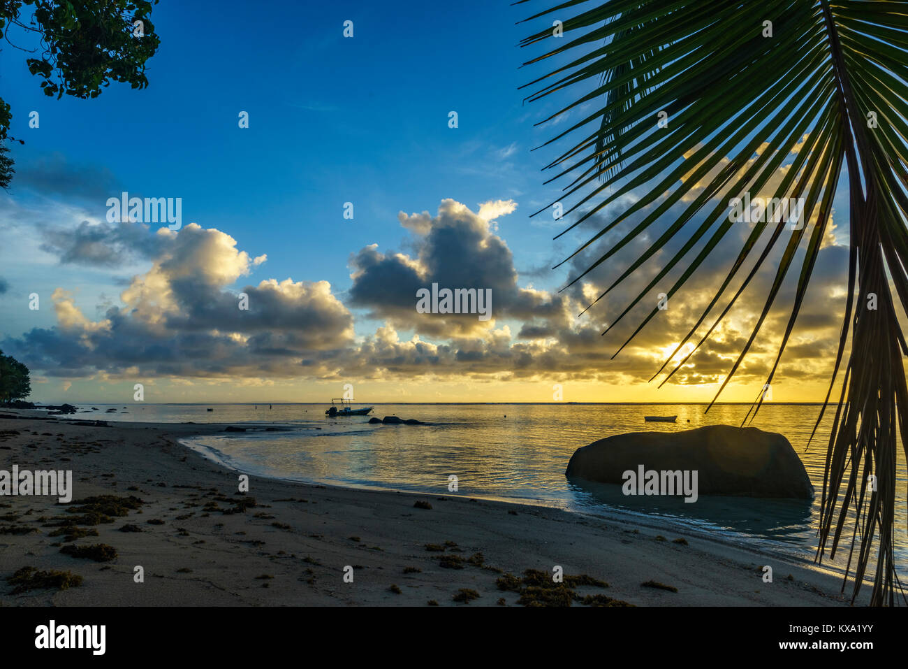 beautiful romantic sunrise on paradise beach with palms, granite rocks