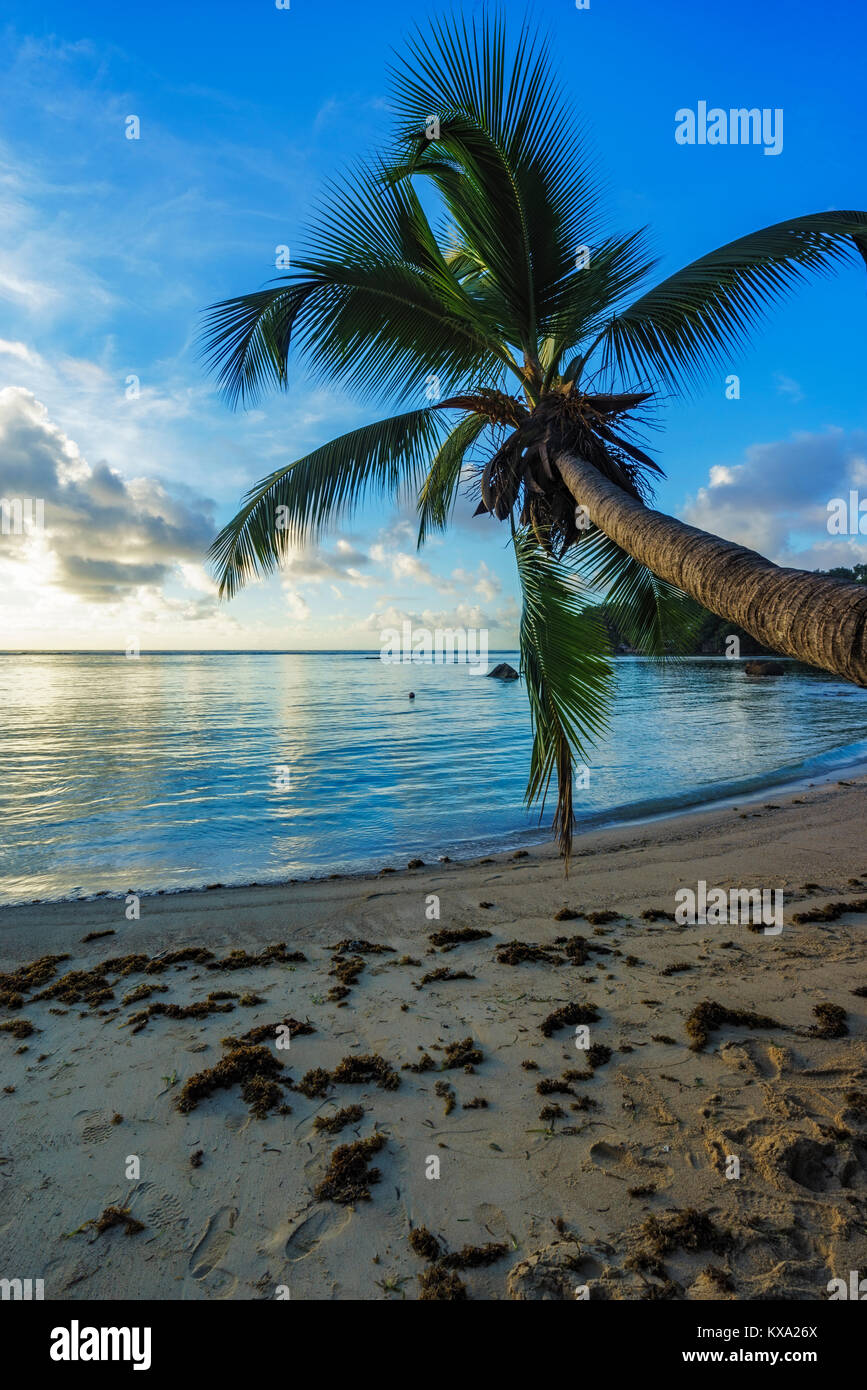 Anse aux pins hires stock photography and images Alamy