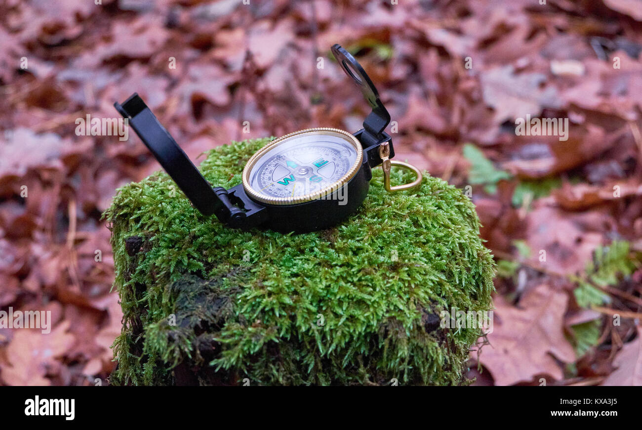 Compass showing North way direction close up Stock Photo Alamy