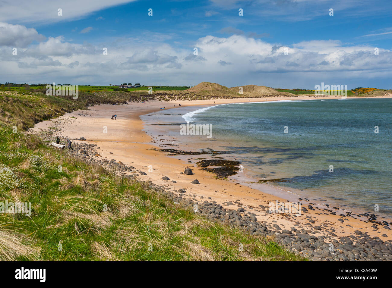 Low Newton beach, Northumberland, England, UK Stock Photo