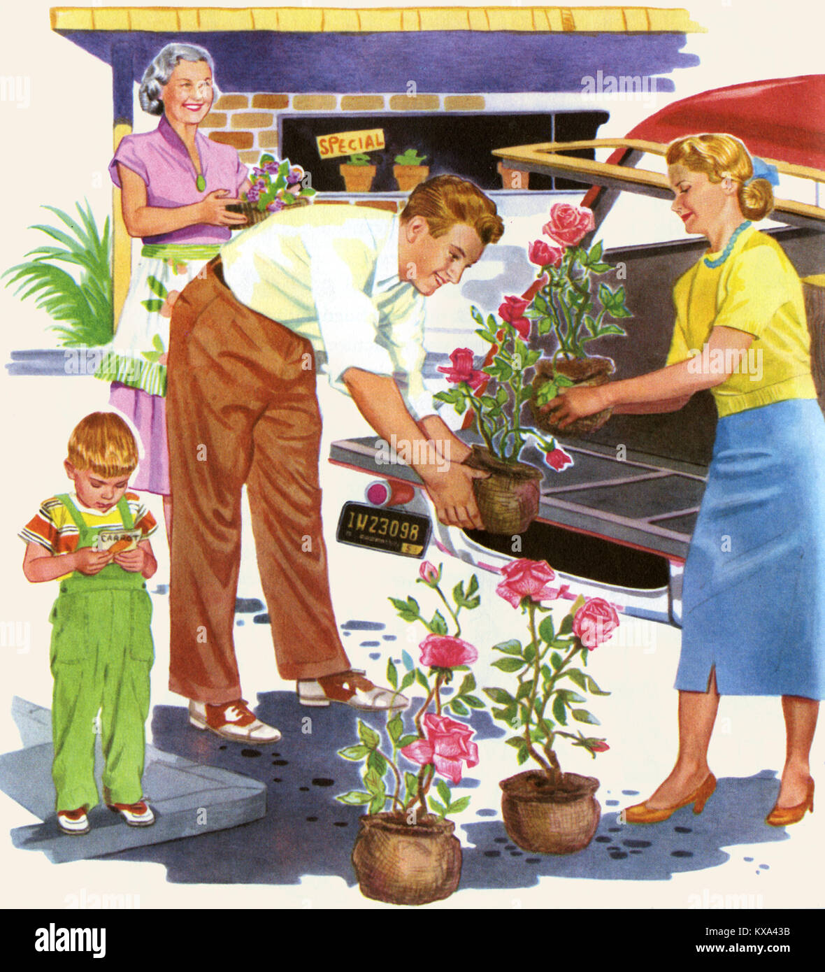 Buying New Plants for the Garden Stock Photo Alamy