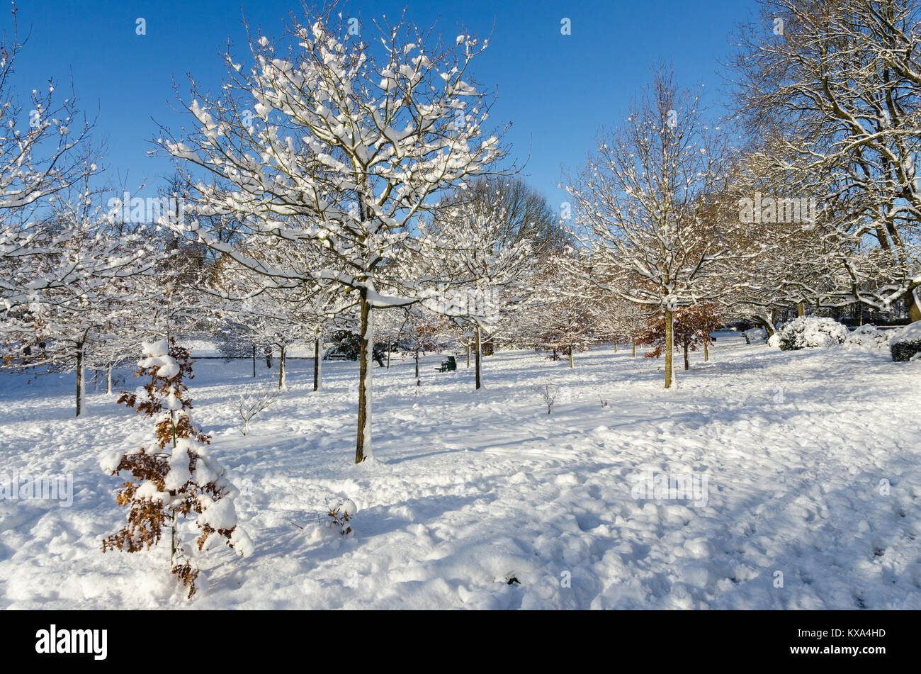 Grove Park, Harborne, Birmingham on a sunny winter day after heavy snowfall. Stock Photo