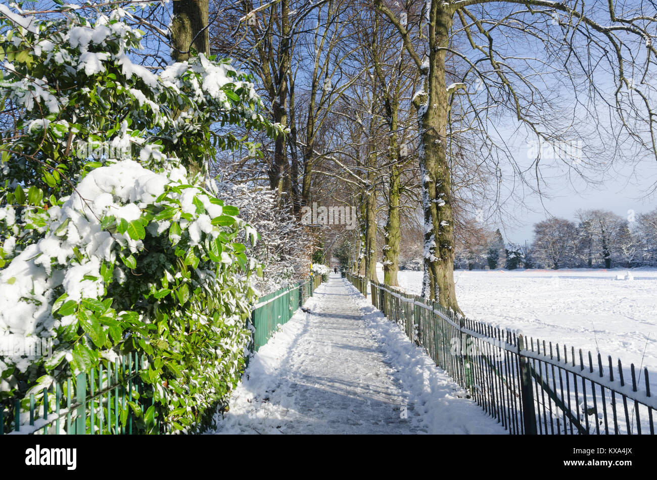 Tree-lined footpath running through Harborne Cricket Club after a heavy overnight snowfall. Stock Photo