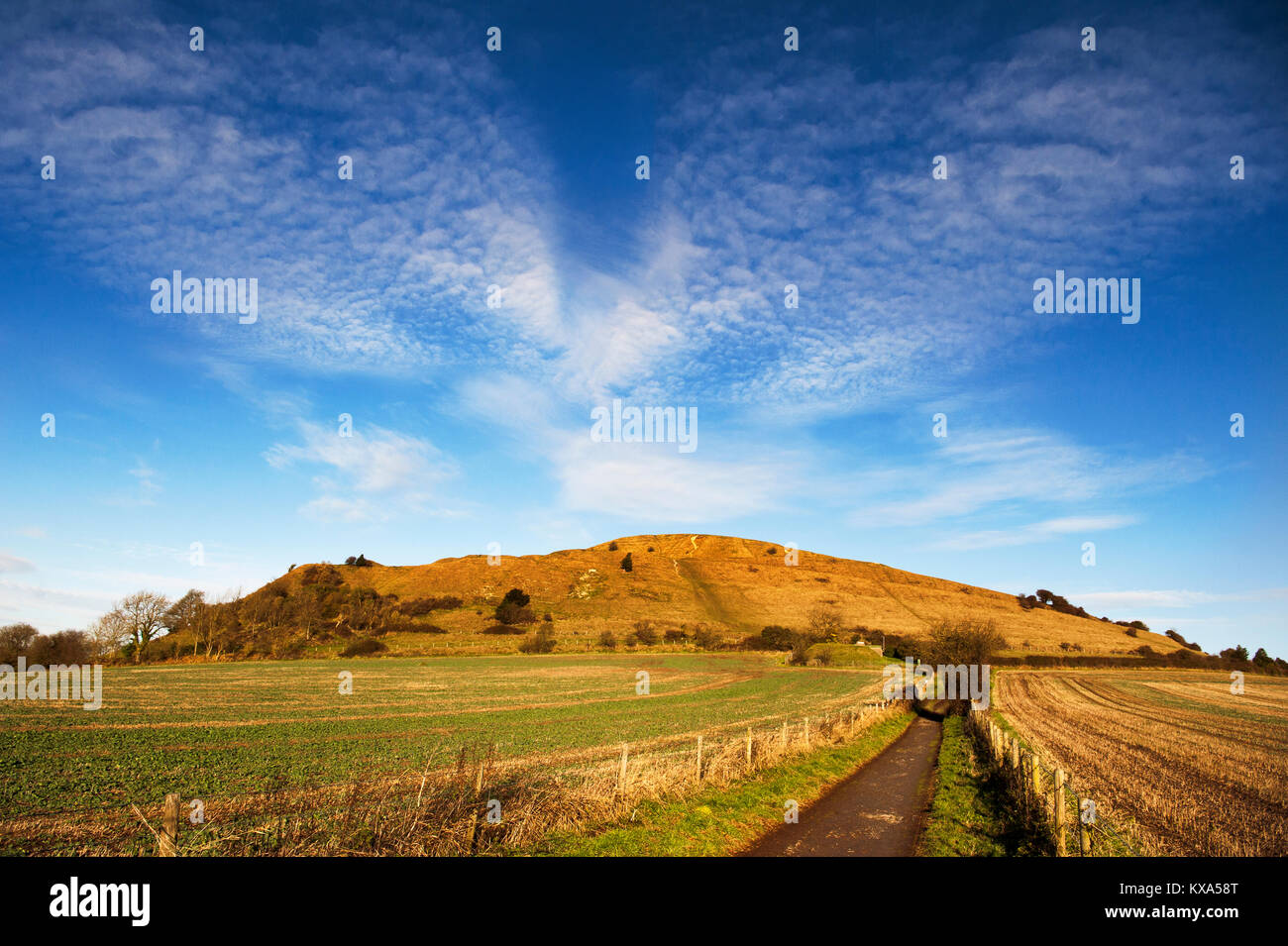 Cley Hill Warminster Wiltshire Stock Photo Alamy