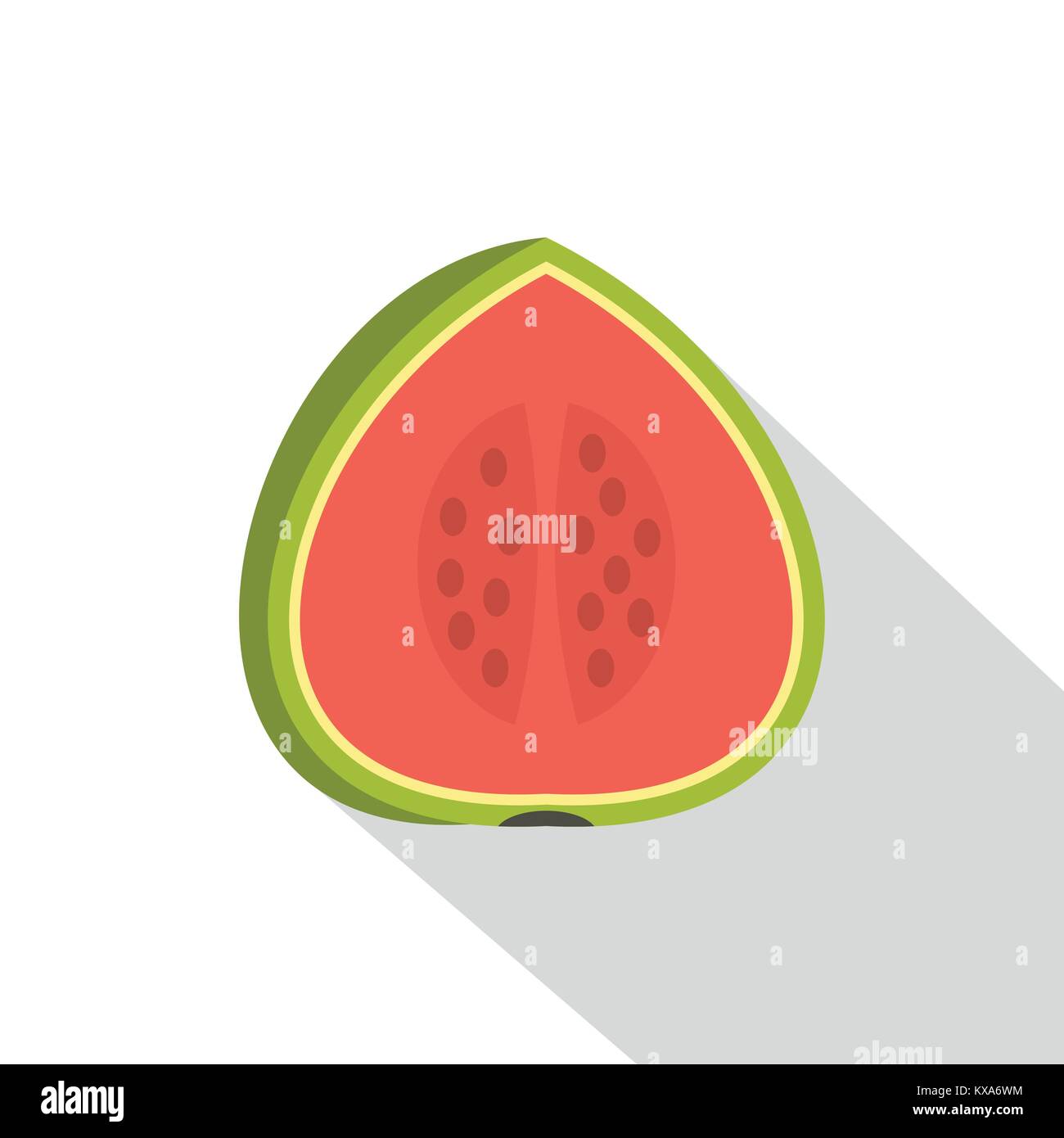 Half watermelon fruit shadow vector hi-res stock photography and images ...