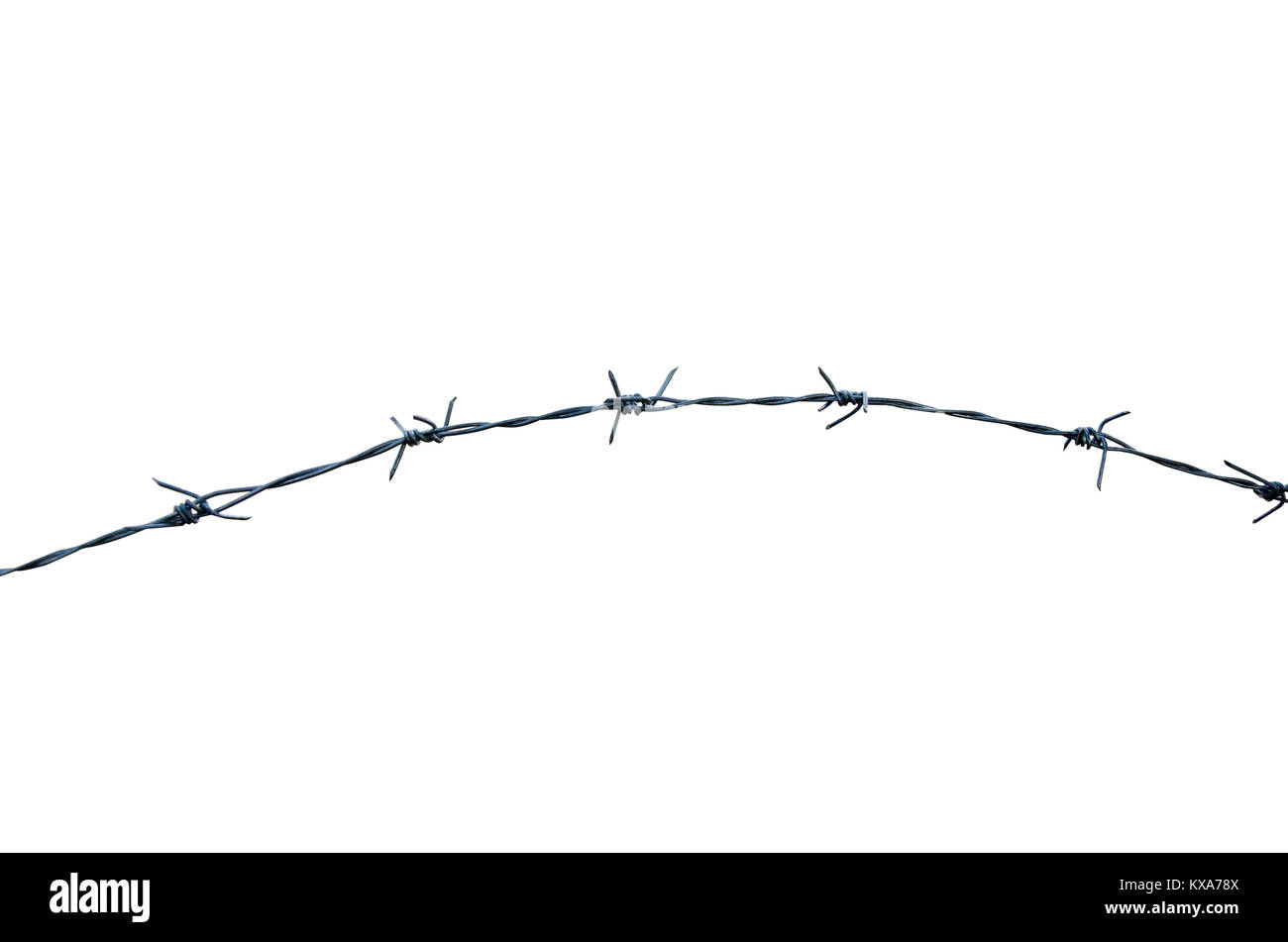 Barbed spine Cut Out Stock Images & Pictures Alamy