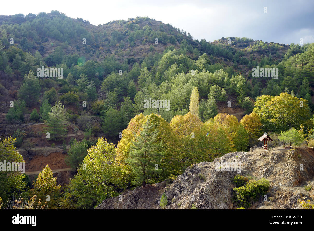 Rocks with autumn forest near Kaminaria village in Cyprus Stock Photo
