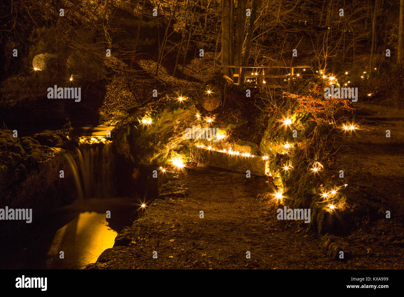 Tealights in Forest Stock Photo