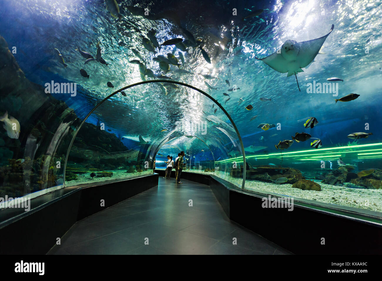 MANILA, PHILIPPINES - MARCH 18: Underwater tunnel on March, 18, 2013, Manila, Philippines. In terms of floor space, oceanarium is larger than oceanari Stock Photo