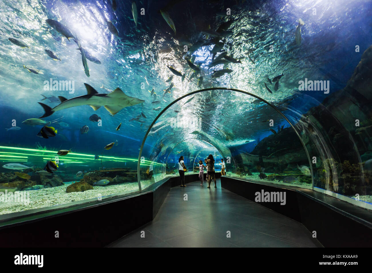 MANILA, PHILIPPINES - MARCH 18: Underwater tunnel on March, 18, 2013, Manila, Philippines. In terms of floor space, oceanarium is larger than oceanari Stock Photo