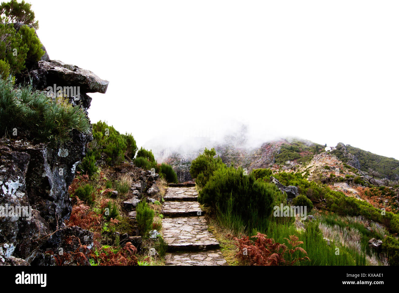 Hiking in Madeira Stock Photo