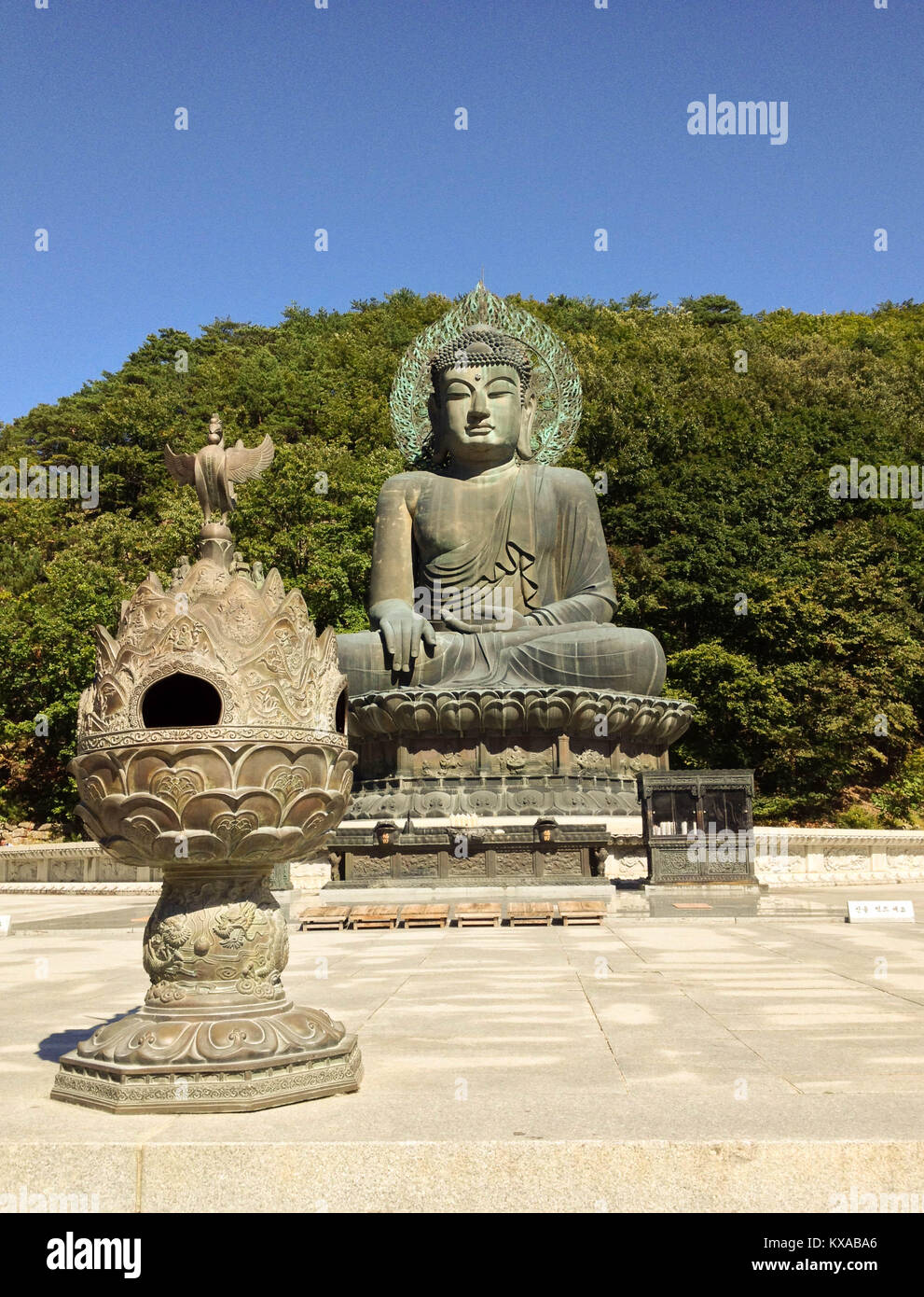 View of the large Korean Buddha statue with tall bushes on a hill, in