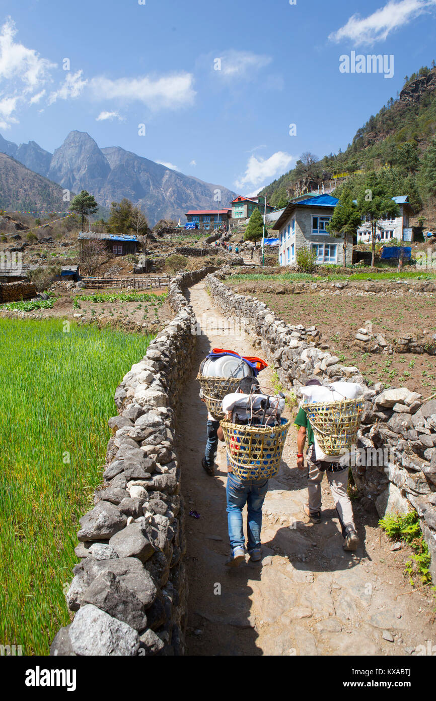 Porters are carrying heavy loads on the way to Namche Bazar, a village along the Everest Base Camp trek in the Nepalese Himalaya. Stock Photo