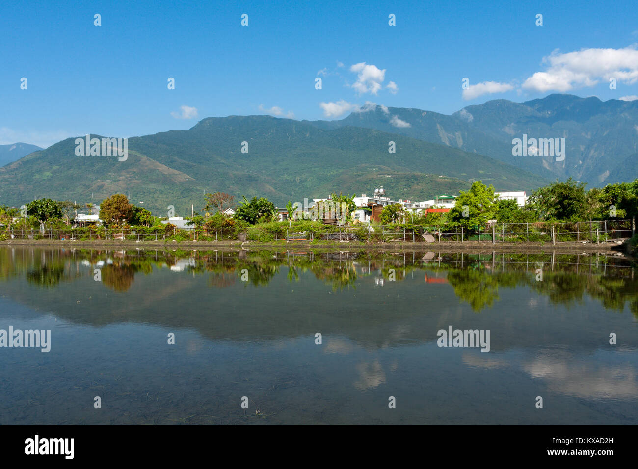 Countryside scene, mountains with rice field and reflection on water in ...