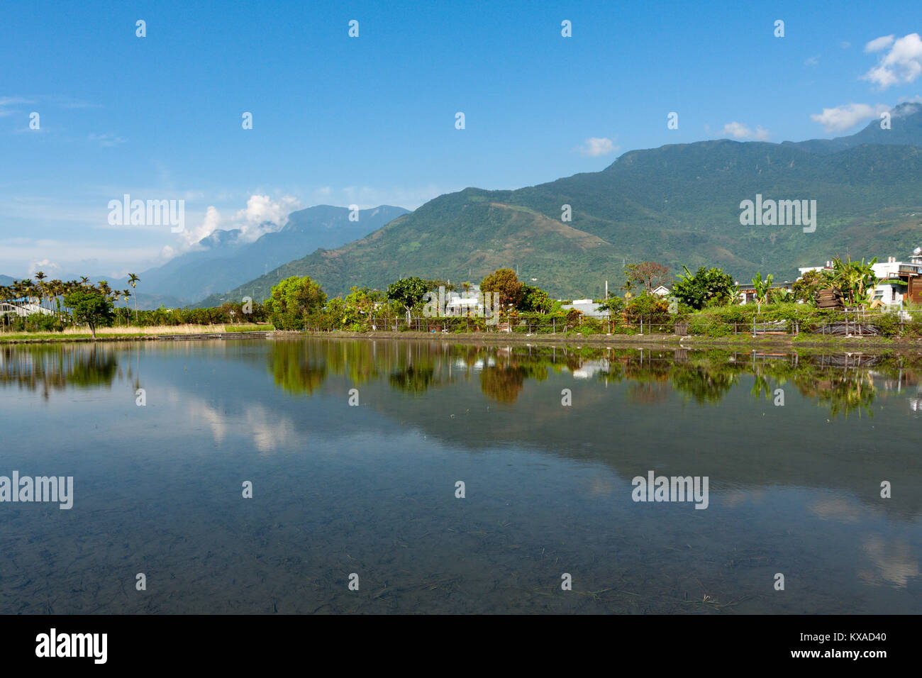 Countryside scene, mountains with rice field and reflection on water in ...