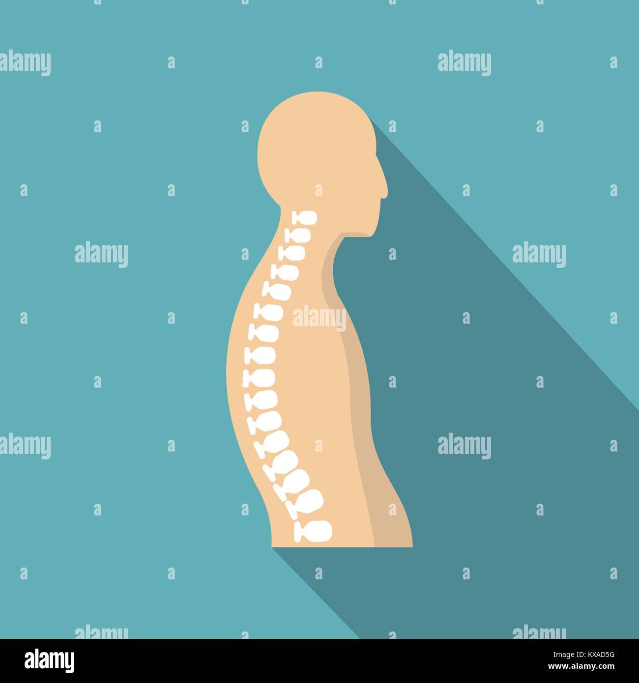 Human spine shadow hi-res stock photography and images - Alamy