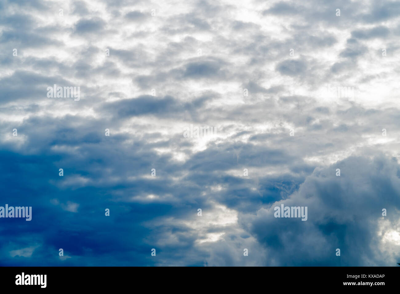 Beautiful white cloud on blue sky background Stock Photo - Alamy