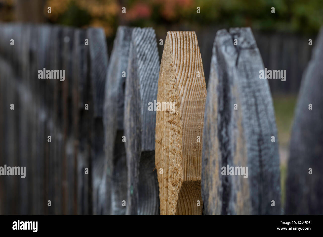 A wooden fence with one unique piece of wood. The one piece of wood is paler in color, and newer, than the other darker, gray wooden sections. Stock Photo