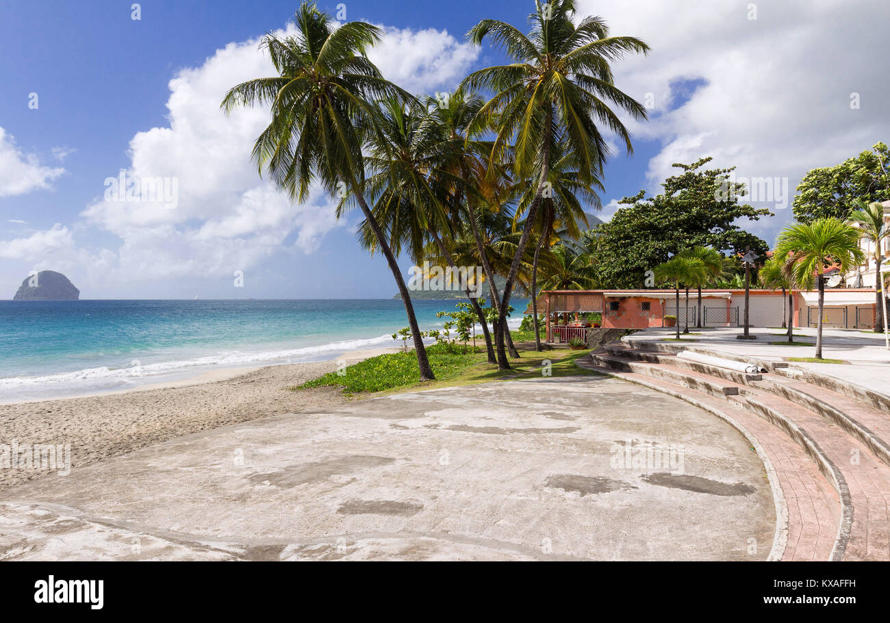 The palm trees on Caribbean beach, Martinique island. Stock Photo