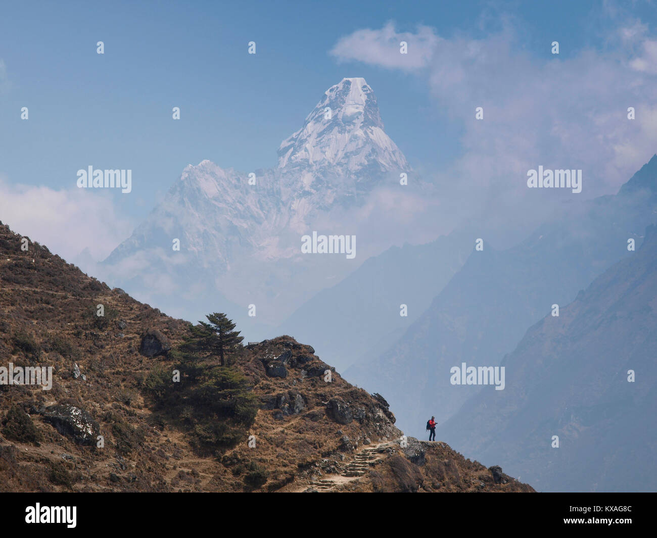 Hikers in front of Ama Dablam on their way to Everest Base Camp in the Nepalese Khumbu valley. Stock Photo