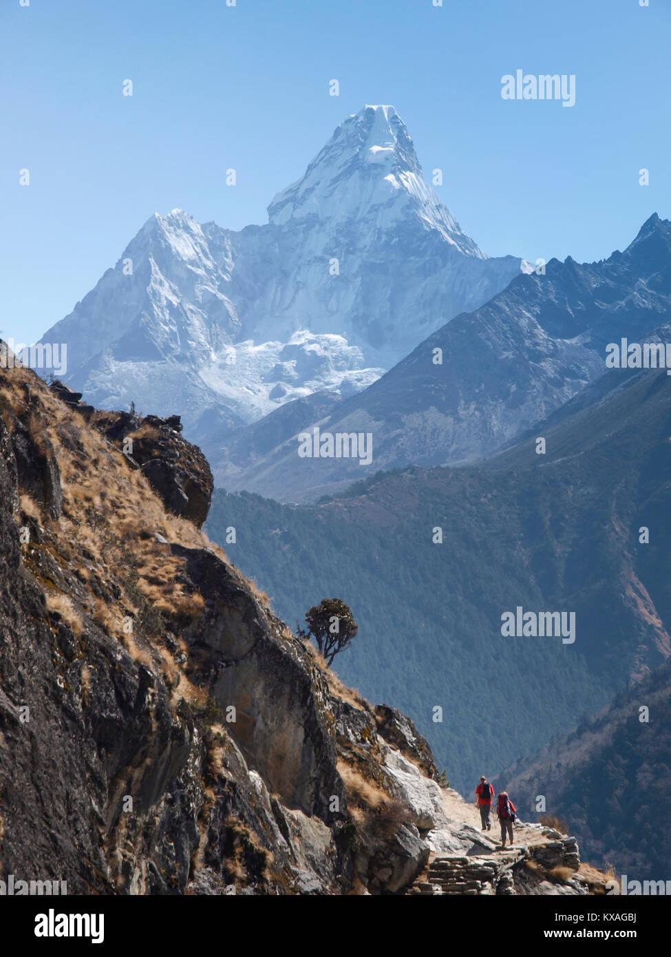 Hikers in front of Ama Dablam on their way to Everest Base Camp in Khumbu valley, Lukla, Nepal Stock Photo