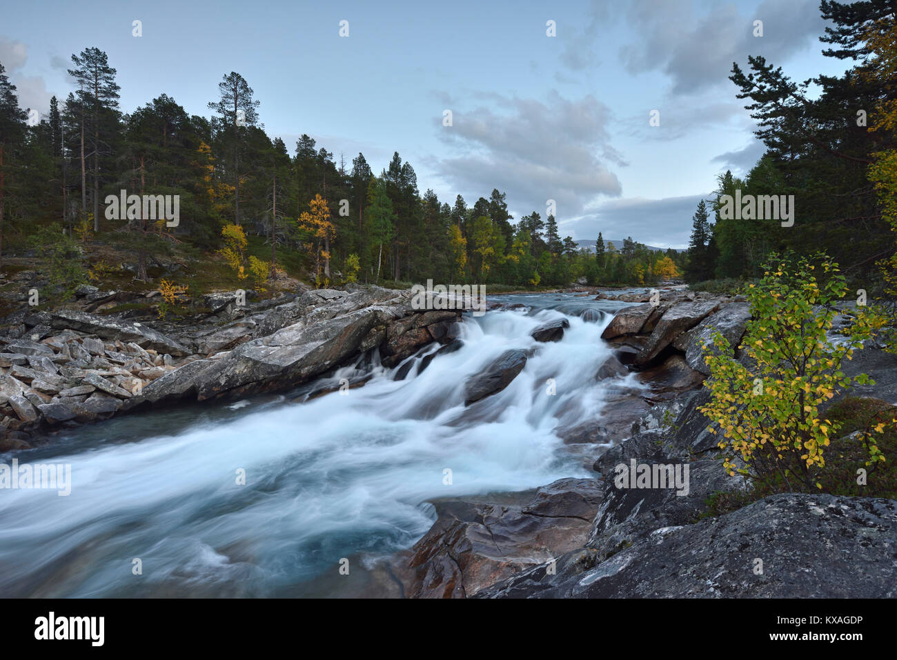 Saltdal river hi-res stock photography and images - Alamy