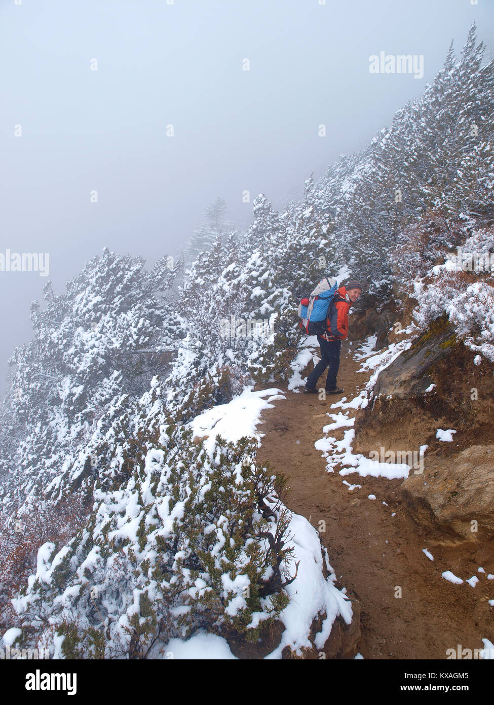 Hiker on snowy trail near Gokyo in Nepalese Everest region, Khumbu, Nepal Stock Photo