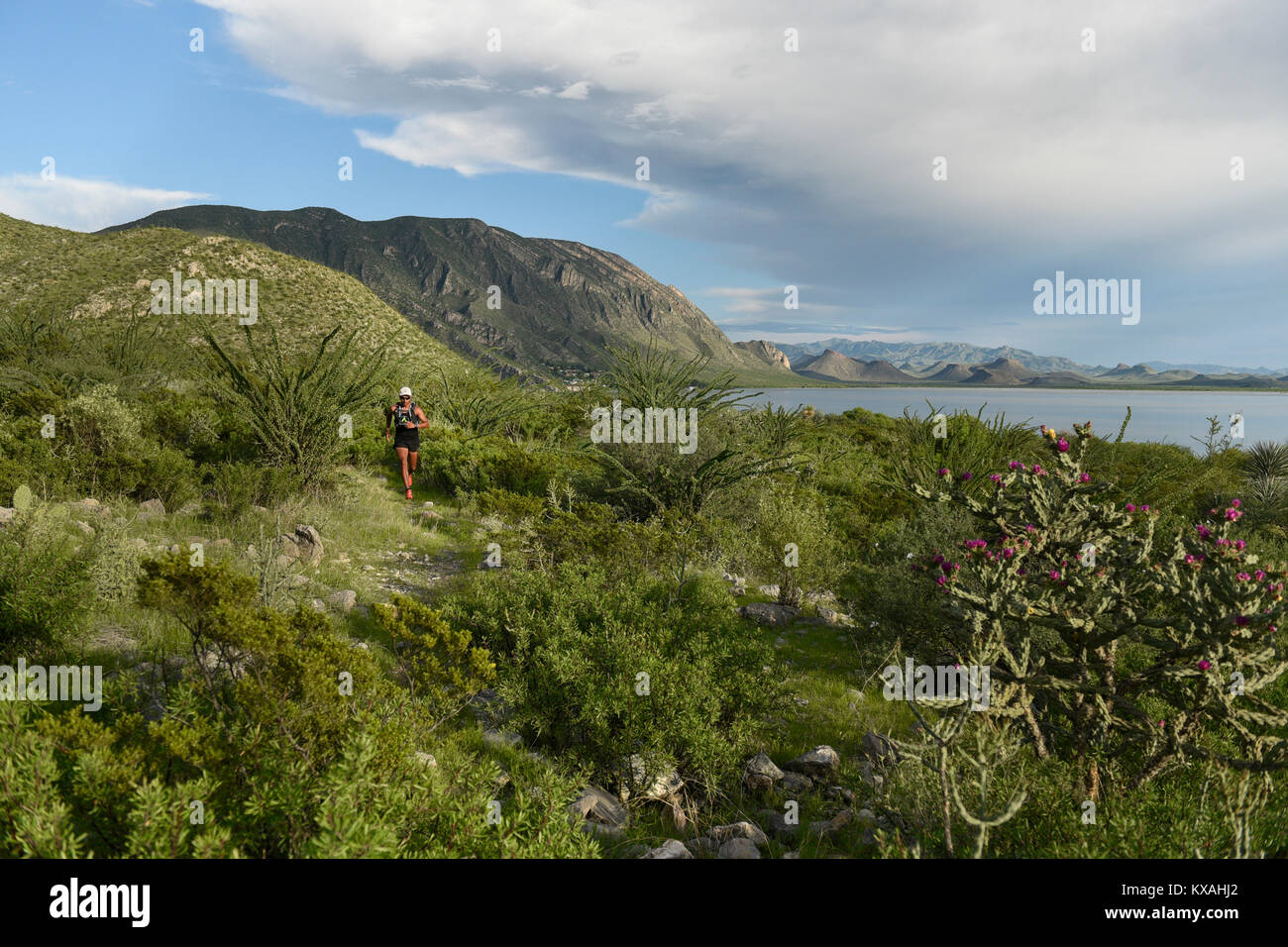 Man trail running in area of Presa Zarco in Durango, Mexico Stock Photo