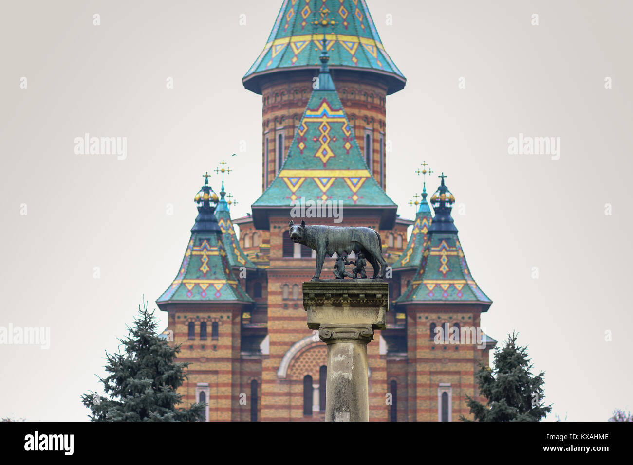 The statue Lupa Capitolina with the Orthodox Metropolitan Cathedral in the background in Timisoara, Timis County, Romania Stock Photo