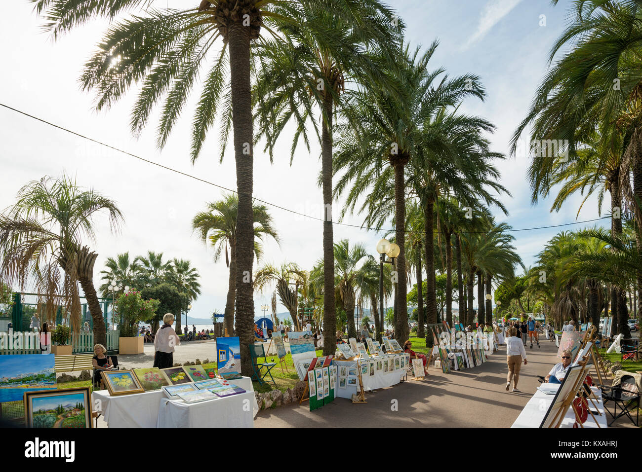 Palm trees on the beach promenade, Cannes, Côte d’ Azur, Provence-Alpes