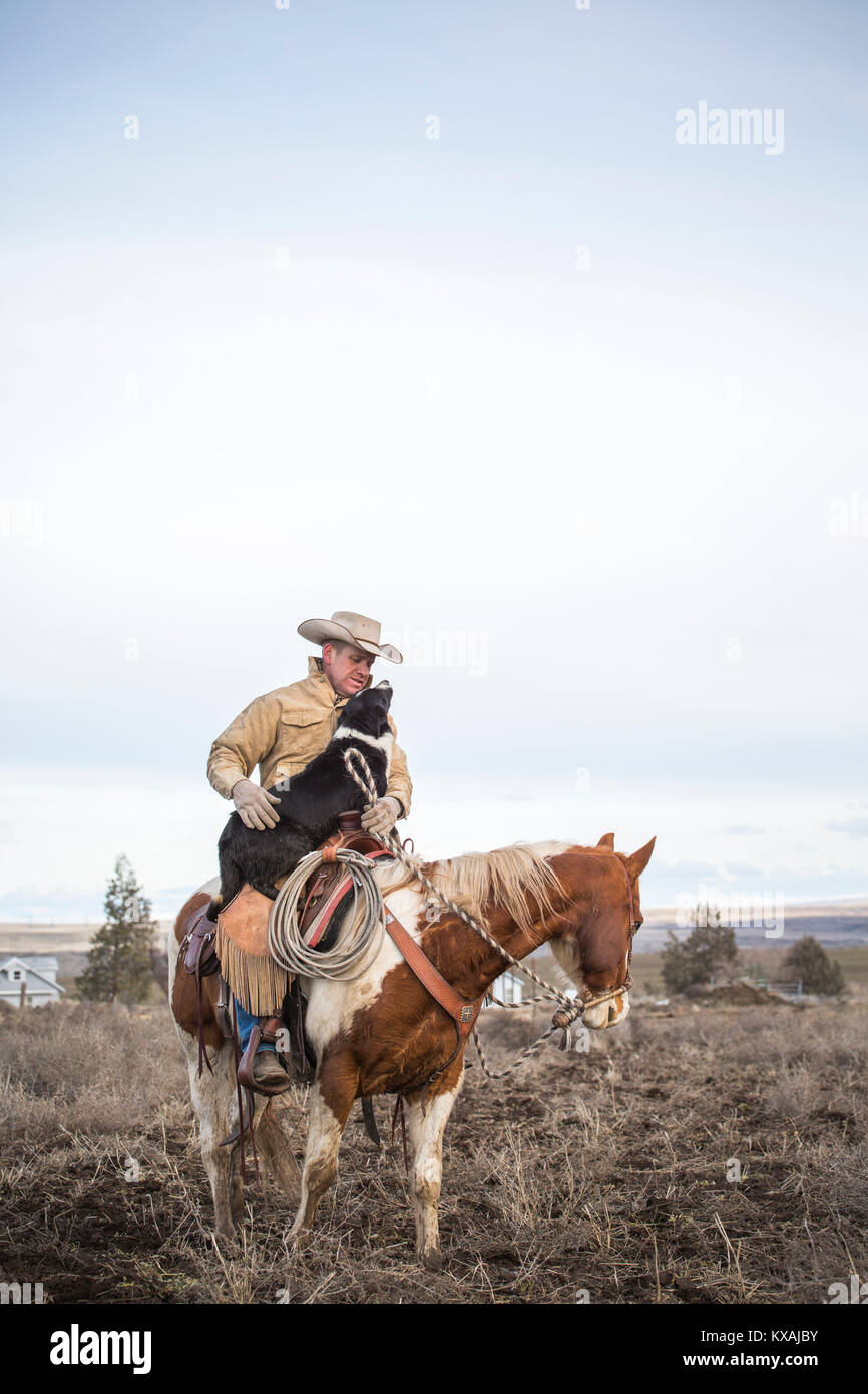 Clear sky over rancher horseback riding with pet dog, Oregon, USA Stock Photo