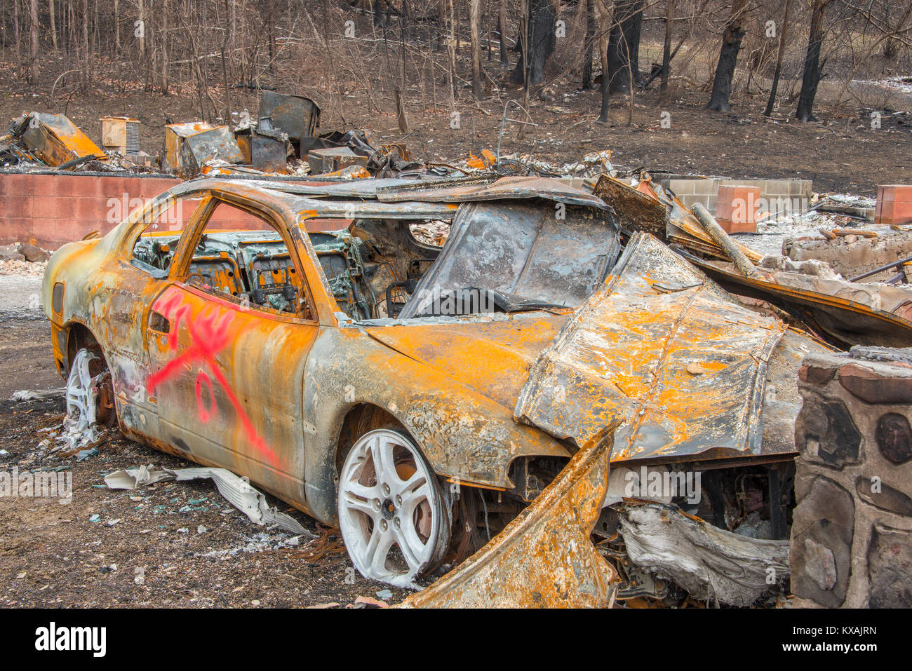 Aftermath of Forest fires, Gatlinburg, Tennessee, November, 2016, by Bill Lea/Dembinsky Photo Assoc Stock Photo