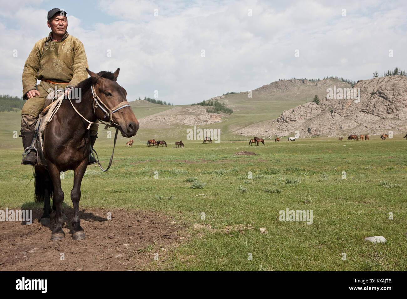 Nomad man riding horse, Bunkhan Valley, Bulgam, Mongolia Stock Photo ...