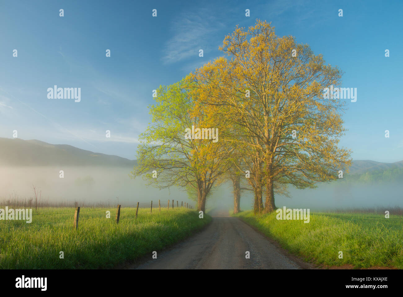 Cade's Cove, Great Smoky Mountain NP, Tennessee, USA by Bill Lea/Dembinsky Photo Assoc Stock Photo