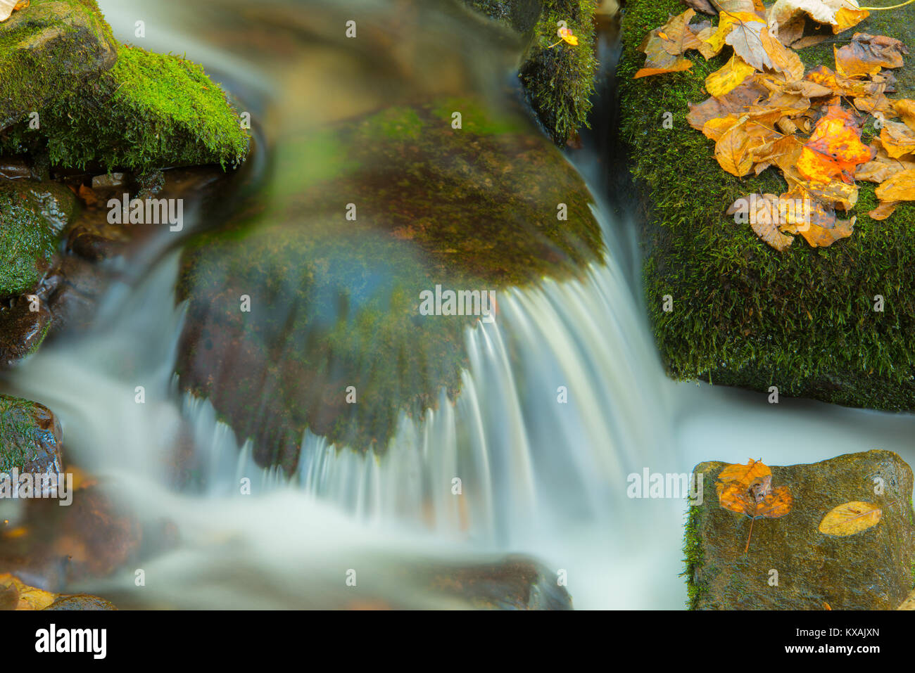Detail of cascades, Fall, West Prong Little Pigeon River, Great Smoky Mountains NP, TN, USA, by Bill Lea/Dembinsky Photo Assoc Stock Photo