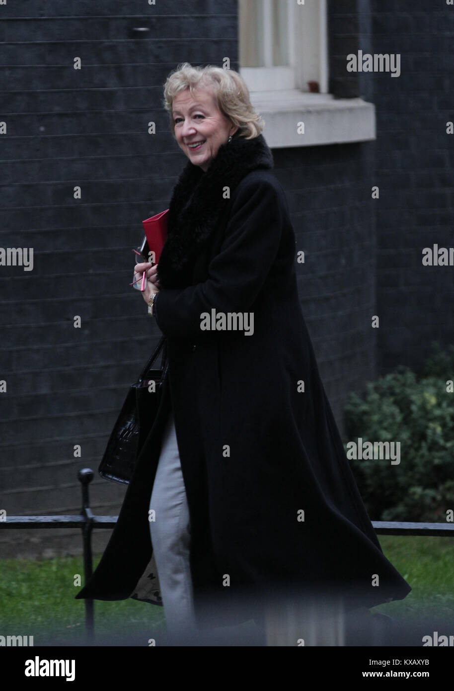 London, UK. 9th Jan, 2018. Andrea Leadsom MP Lord President of the Council, Leader of the House of Commons attends a cabinet meeting at 10 Downing Street, London. Credit: RM Press/Alamy Live News Stock Photo