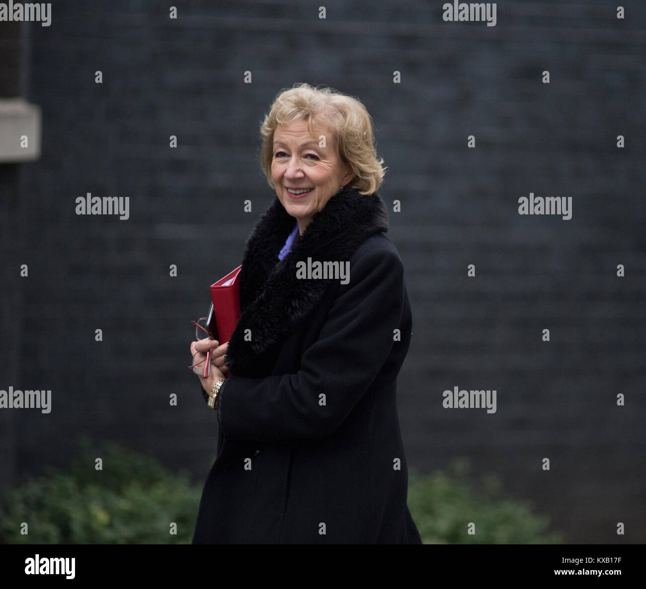 Downing Street, London, UK. 9th Jan, 2018. Government ministers old and ...