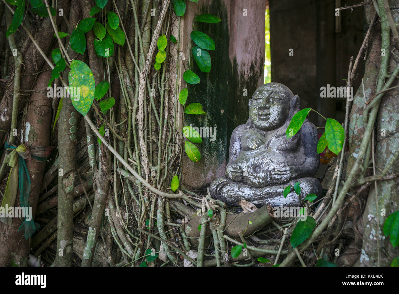 Statue amoung roots supporting The Ordination Hall, Bang Kung Camp, Samut Songkhram, Thailand. Stock Photo