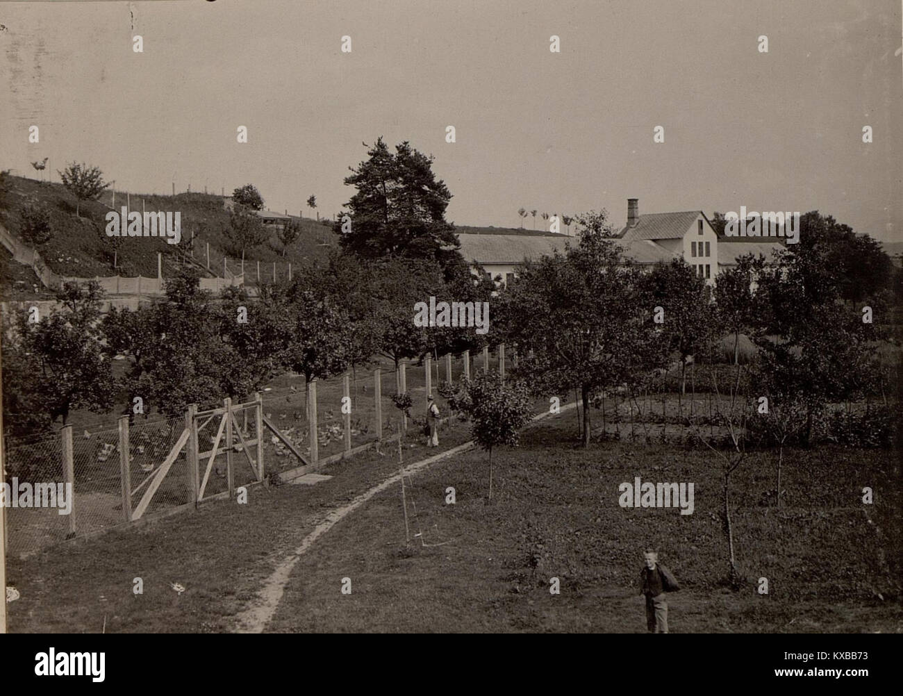 Hühnerhof LIND bei Villach. Stall-, Wirtschaftsgebäude und Auslaufgarten. Aufgenommen am 25. Juni 1916. (BildID 15476385) Stock Photo