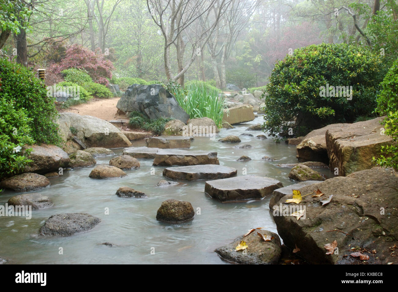 Stepping stones across stream in Japanese Garden, Toowoomba, Queensland