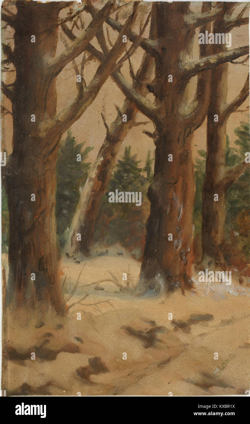 Slava Raškaj Šuma zimi Stock Photo Alamy