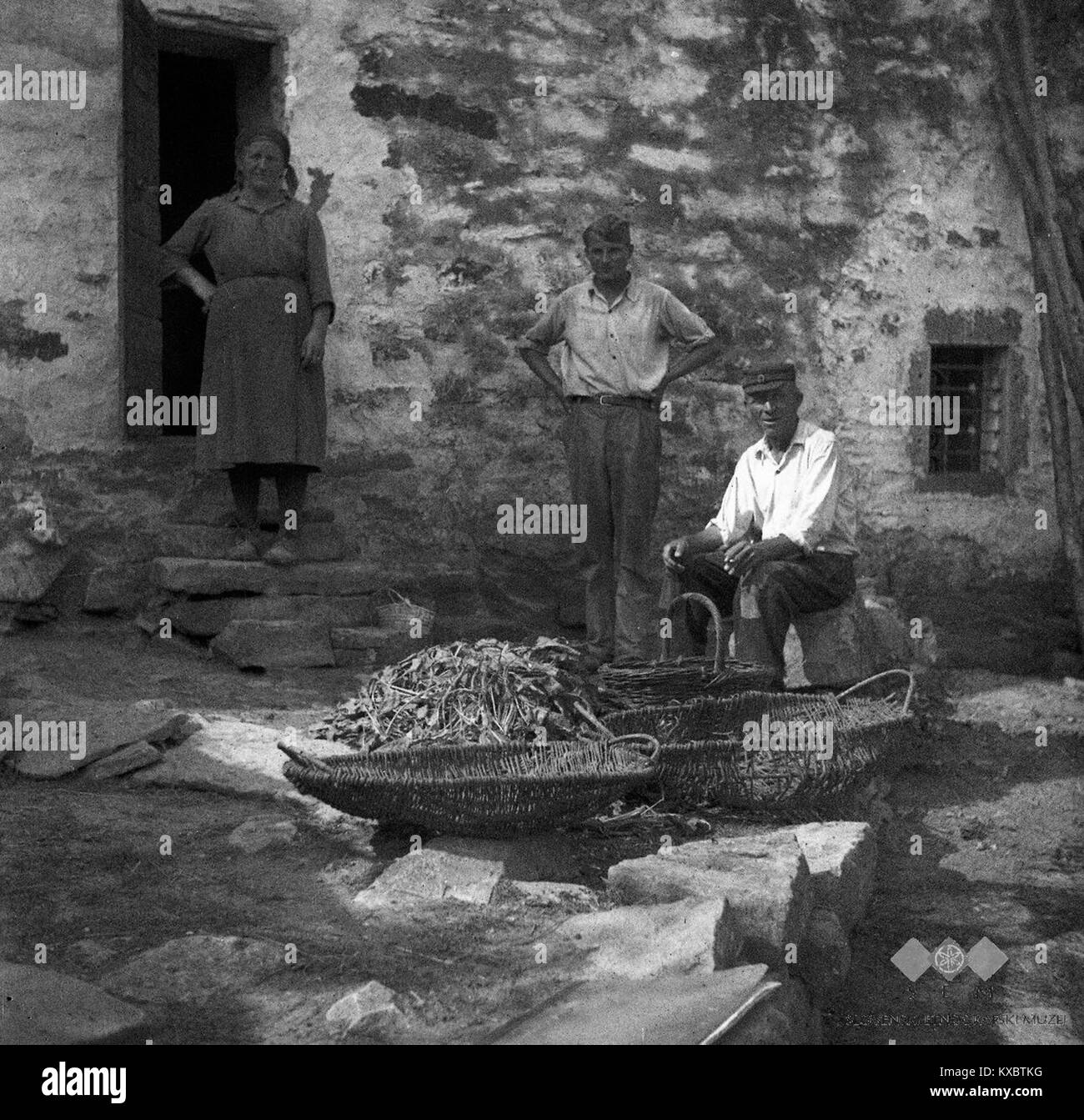 This image from 1950 shows two manure carts in front, with a piece of land used for grapes and cherries in the background, and the Pipar family in Borst, Slovenia. Stock Photo