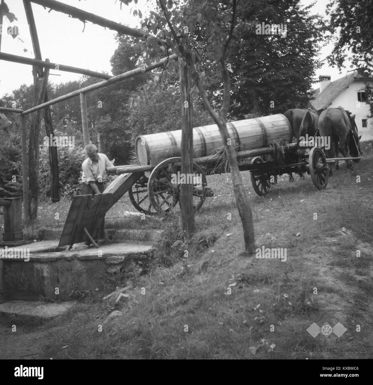 Spuščanje vode iz 'lajte' v šterno (suša), Huda Polica, pri Kurjek 1949 (2) Stock Photo