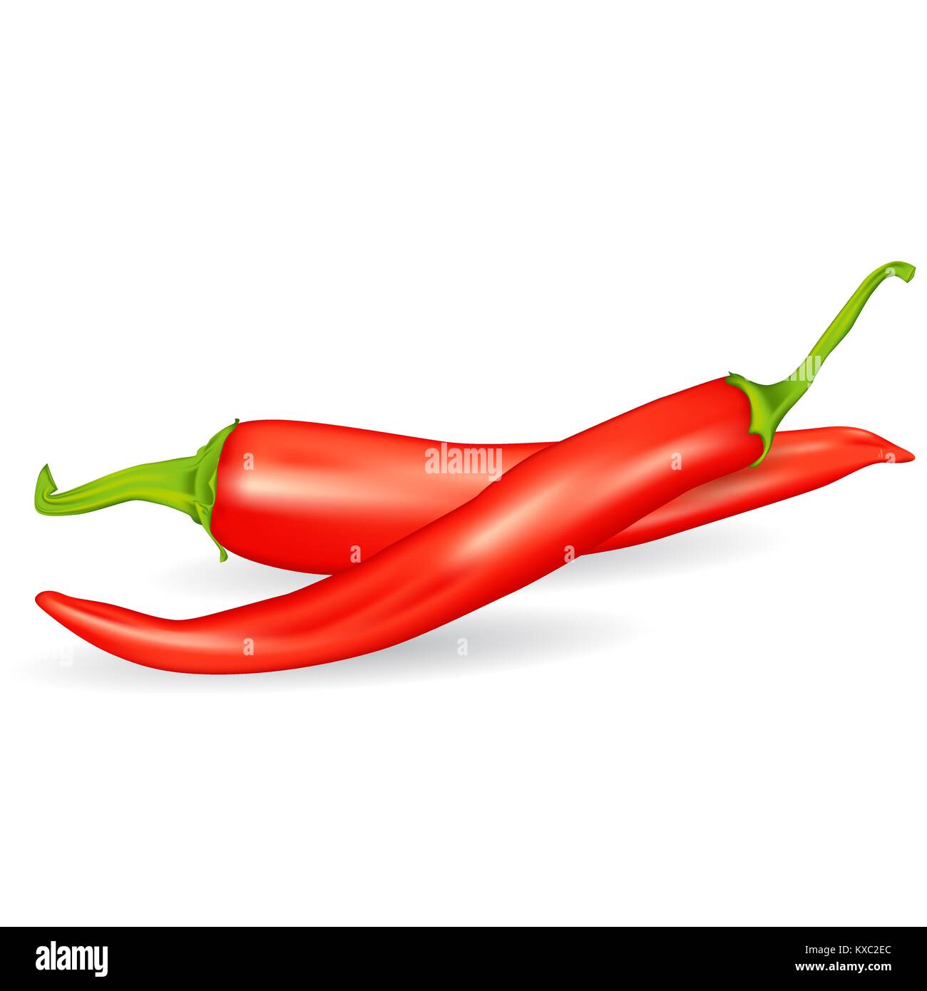 Realistic red hot chili pepper Stock Vector