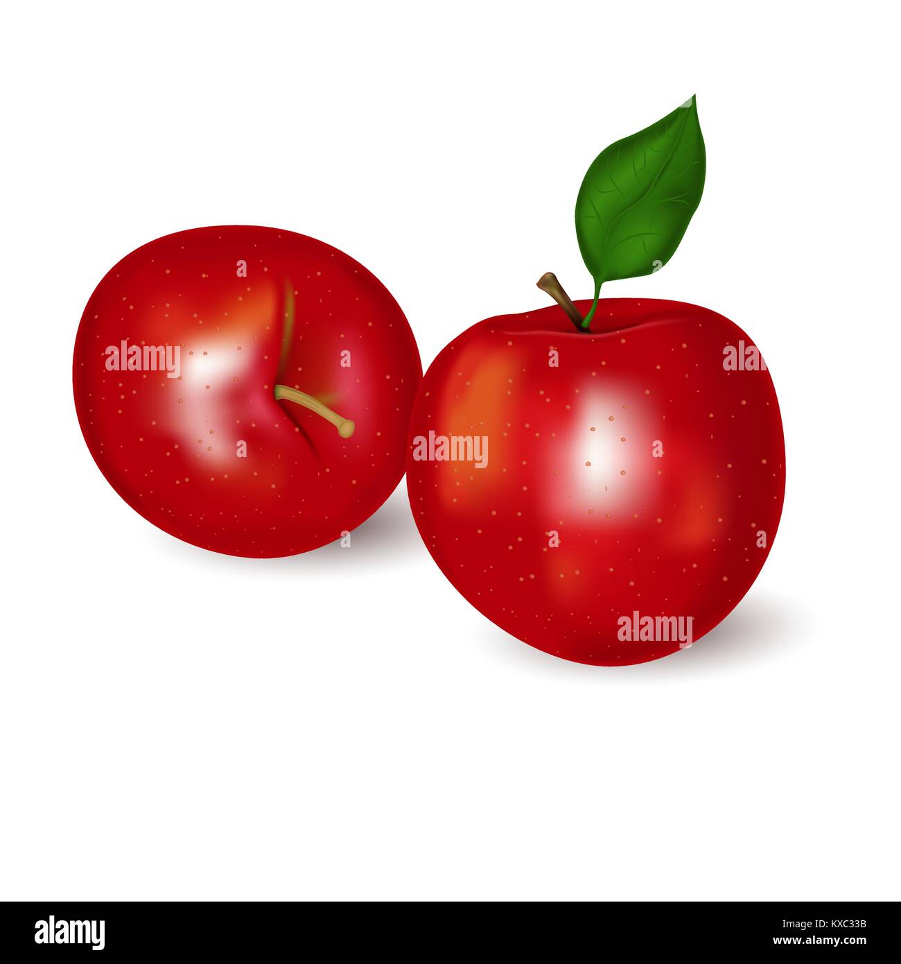 Realistic red apple Stock Vector Image & Art Alamy
