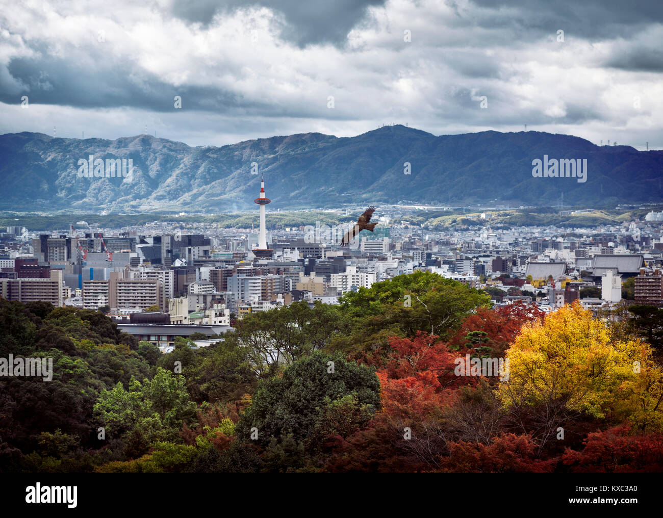 License and prints at MaximImages.com - Kyoto tower in city landscape with an eagle flying by and mountains in the background under dramatic stormy Stock Photo