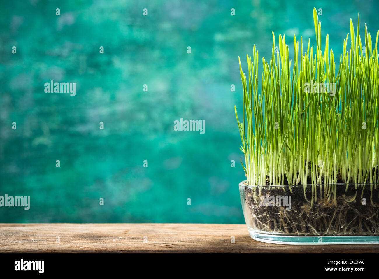 Hello summer creative concept hi res stock photography and images Alamy Hello summer creative concept hi res stock photography and images Alamy