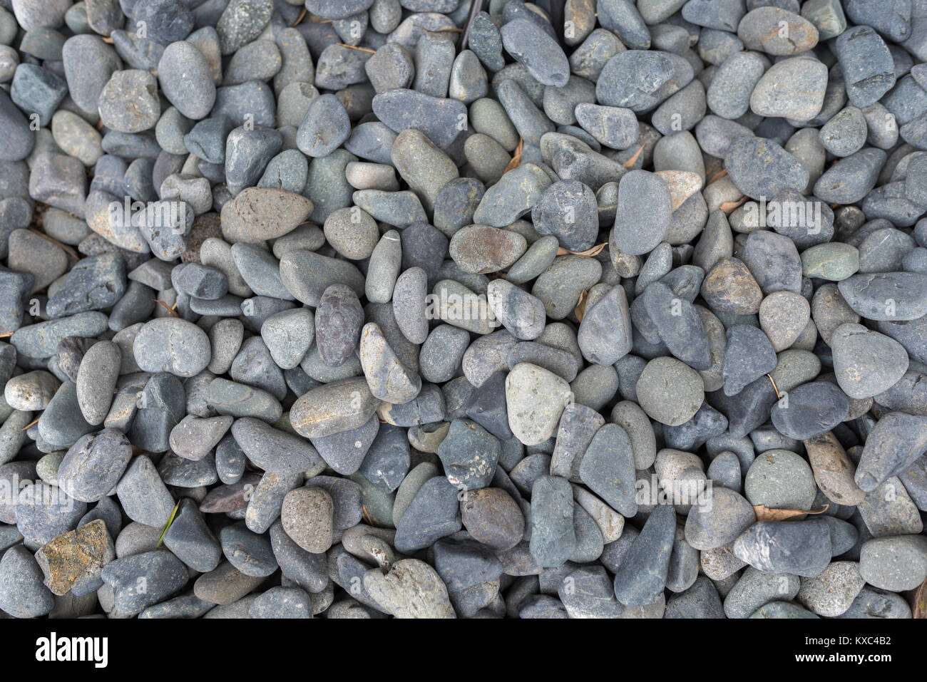 Grey River Stone Pebbles On Ground For Decorative Garden Stock