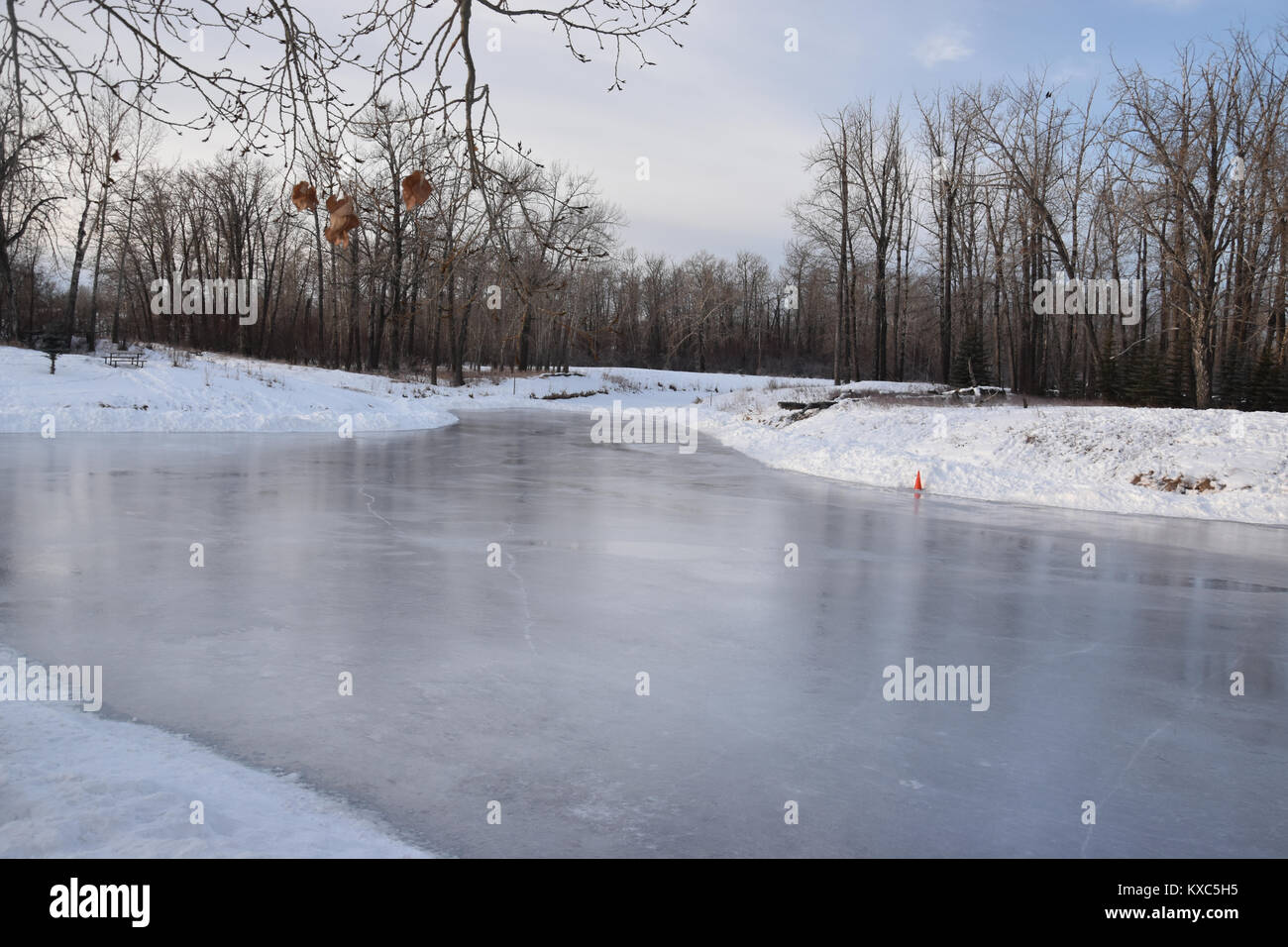 Outdoor Ince Rink Calgarry Outdoor Skating Rink, Carburn Park, Calgary, Alberta, Canada Stock ...